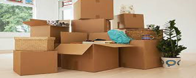 Packers and Movers Service