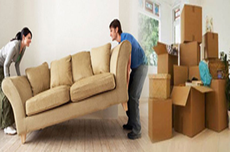 Packers and Movers
