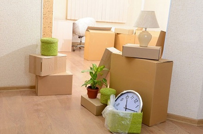 Packers and Movers
